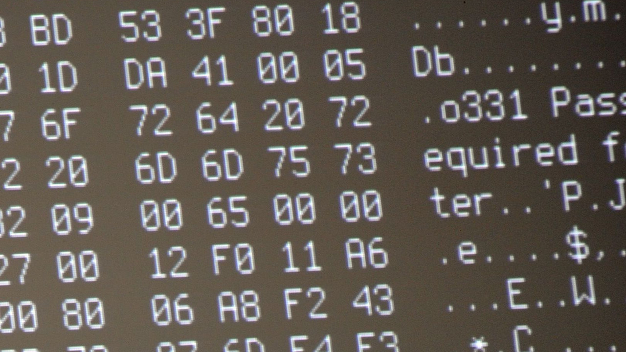 Polizei k�mpt gegen "Cybercrime"