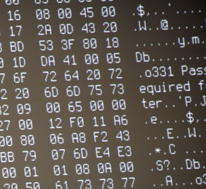 Polizei k�mpt gegen "Cybercrime"