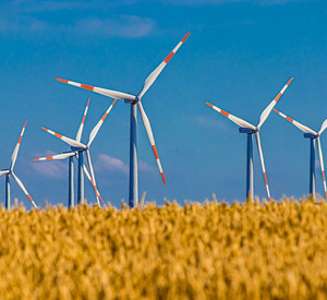 Windmühlen auf einem Feld