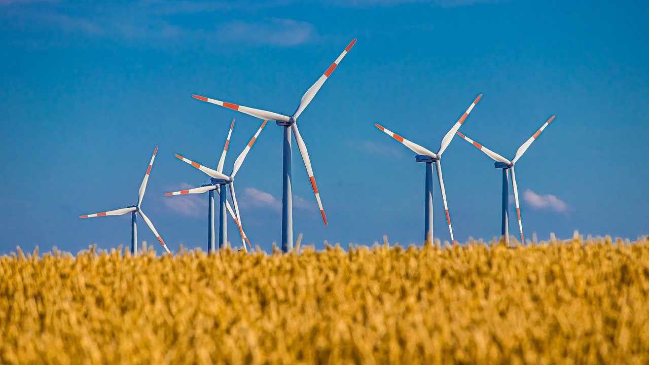 Windmühlen auf einem Feld