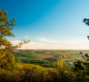 Landschaftsaufnahme RLP