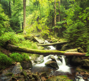 Foto: Adobe Stock